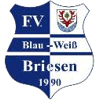 FV Blau-Weiß 90 Briesen/Mark