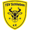 TSV 1878 Schlieben II