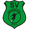 SV Biesenthal 90