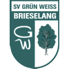 SV Grün-Weiß Brieselang II