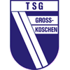 Wappen von TSG Großkoschen