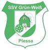 SSV Grün-Weiß Plessa