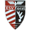 Wappen von ESV Forst 1990