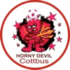 FC Cottbus Sachsendorf Devils