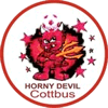 Wappen von FC Cottbus Sachsendorf Devils