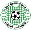 Wappen von FSV Grün-Weiß Ilsenburg