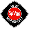 Wappen von SpVgg 1921 Neckarelz