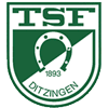 TSF 1893 Ditzingen II