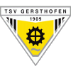 TSV 1909 Gersthofen II