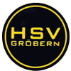 Wappen von Heidesportverein Gröbern
