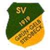 Wappen von SV 1919 Grün/Gelb Ströbeck