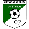 Wappen von SV Sturm 07 Grossalsleben