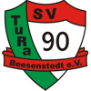 SV Tura 90 Beesenstedt