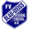 FV Blau-Weiß Stahl Freital