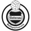 Wappen von BSV Gelenau