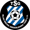 Wappen von TSG Blau-Weiß Großlehna 1990