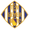 TSV Geyer 1912 II