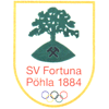 Wappen von SV Fortuna Pöhla 1884