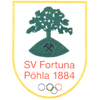 SV Fortuna Pöhla 1884