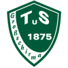 Wappen von TuS 1875 Großschirma
