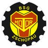 Wappen von BSG Motor Zschopau