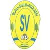 SV Blau-Gelb Mülsen II