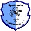 Wappen von SV 1900 Flößberg