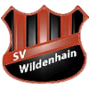 Wappen von SV Wildenhain