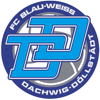 FC Blau-Weiß Dachwig-Döllstädt