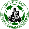 FSV Grün-Weiß Steinbach-Hallenberg