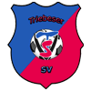 Triebeser SV