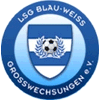 LSG Blau-Weiß Großwechsungen III