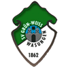 SV Grün-Weiß Wasungen