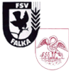 SG ThSV Wünschendorf/Falka II