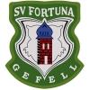 SV Fortuna Gefell