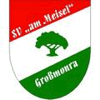 SV Am Meisel Großmonra