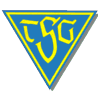 Wappen von TSG 1919 Dülmen