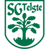 SG Telgte 1919