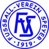 FV 1919 Speyer II