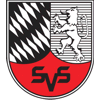 SV Schefflenz 22/46