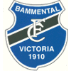 FC Victoria 1910 Bammental II