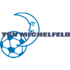 TSV 1895 Michelfeld II
