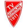 TV Schierling 1911 II