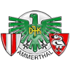 Wappen von DJK Ammerthal