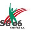 SG Coesfeld 06 IV