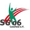 SG Coesfeld 06 III