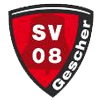 SV Gescher 08 VI