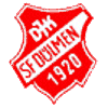 Wappen von DJK Sportfreunde Dülmen 1920