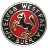 SpVgg. Westfalia Buer 1919