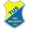 TuS von 1899 Dielingen